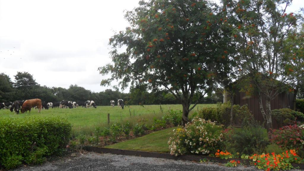 Hillcrest Country Home Adare Exterior photo